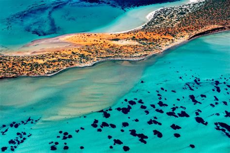 Shark Bay Aerial #3 – Mark Boyle Photography