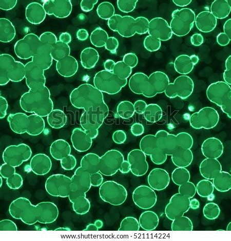 Plant Cells Under Microscope Green Circles Stock Photo 521114224 - Shutterstock