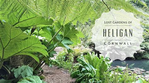 Secret Gardens Of Heligan Cornwall | Fasci Garden