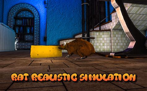 Amazon.com: Rat Simulator 2016: Cat Vs Mouse and Rat Trap Challenge ...