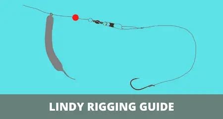 Lindy Rigging 101 (Detailed Guide With Pictures)