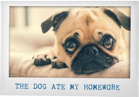 The Dog Ate My Homework (... and other excuses) - Rebecca Sparrow