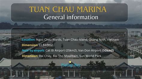 Tuan Chau Marina: All you need to know in 2024