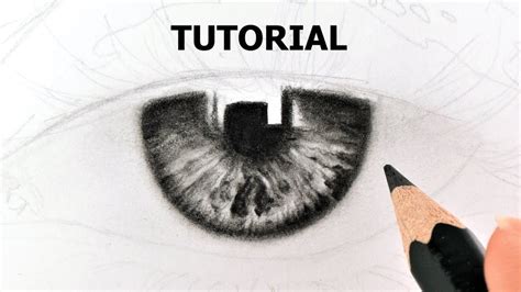 How to Draw Hyper Realistic Iris - YOU CAN LEARN THIS! EASY Tutorial 2019 - YouTube