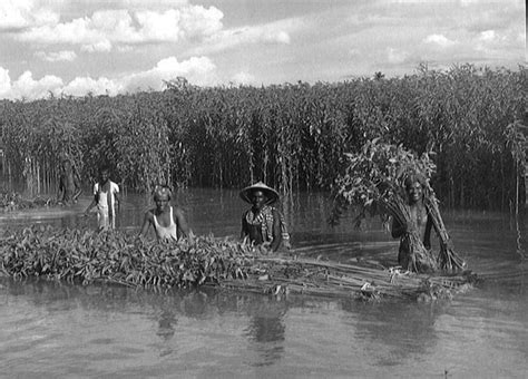 Bangladesh AGRICULTURE - Flags, Maps, Economy, History, Climate, Natural Resources, Current ...