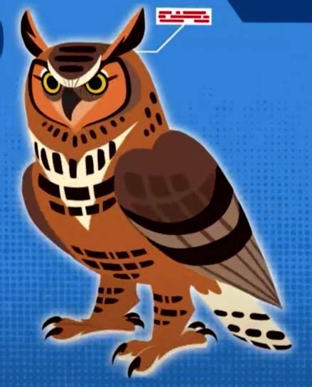 Hoot-hoot Wild kratts | Wild Kratts Fanon Wiki | Fandom