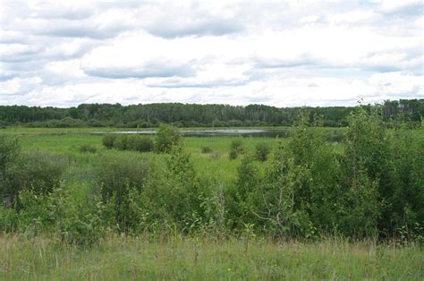 Parkland Dunes - Alberta Wilderness Association