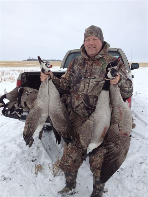 Goose Hunting for Geese | Goose Hunting Saskatchewan