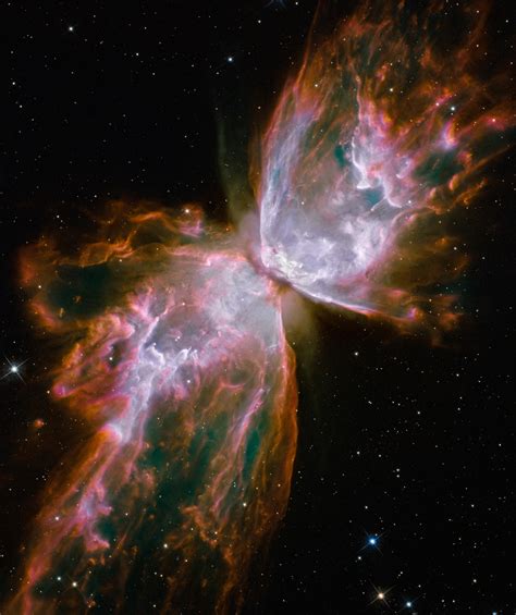 Butterfly Nebula : space