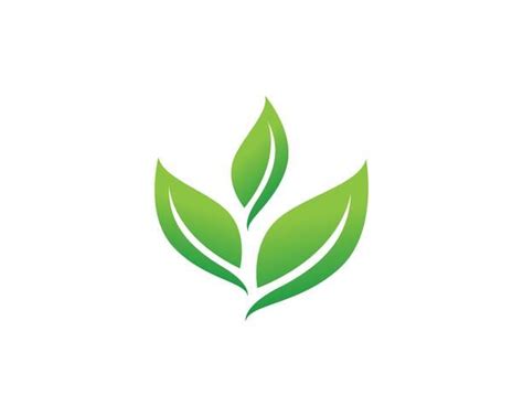 Green leaf logo vector | Leaf logo, Vector logo, Logo design free