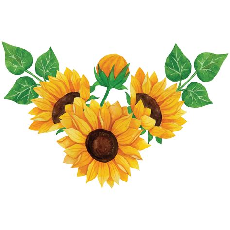 Sunflower Bouquet Clip art Element Transparent Background 24186997 PNG