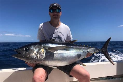 Bigeye Tuna Fishing: species guide, charters and destinations - Tom's Catch