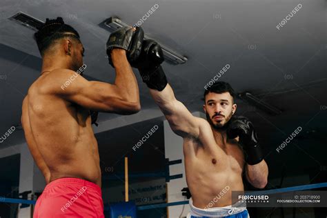 Men training and boxing — Looking At Each Other, punch - Stock Photo | #203718900