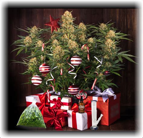 Cannabis Christmas Gift Ideas - 5 Great Gifts for Weed Lovers This Holiday Season