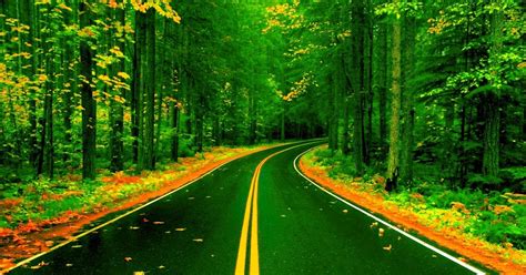 10+ Road Nature Images Hd | Nature images, Nature images hd, Forest road