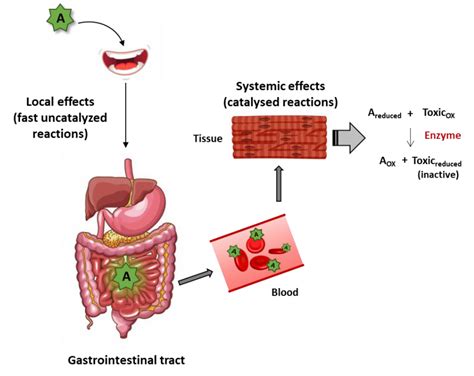 Antioxidants | Free Full-Text | Hormetic and Mitochondria-Related ...