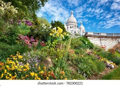 18,494 Paris spring flowers Images, Stock Photos & Vectors | Shutterstock