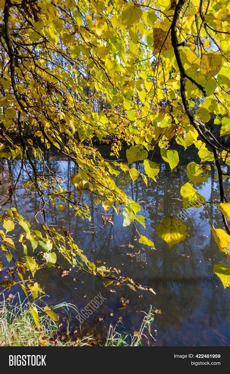 Forest Lake. Autumn Image & Photo (Free Trial) | Bigstock