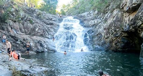 18 of The Very Best Things to do in Mount Tamborine with Kids - Thrifty ...