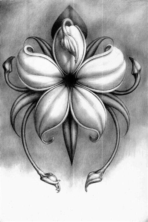 Simple Pencil Drawing Pictures Of Flowers - Pencil Shading Drawings Flowers ~ Flower Drawing ...