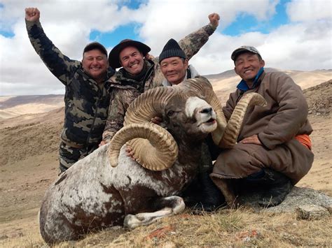 MONGOLIAN ALTAI ARGALI PERMIT (Trophy Fee Included)