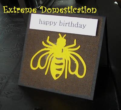 Extreme Domestication: Boy Birthday Cards