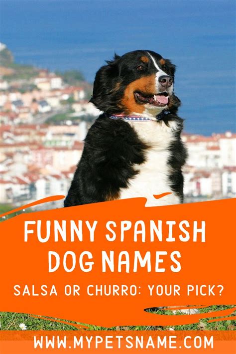 Funny Spanish Dog Names | Dog names, Spanish humor, Dog names unique