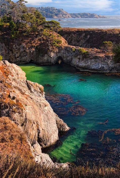 Point Lobos State Reserve California Photograph by Douglas Pulsipher ...