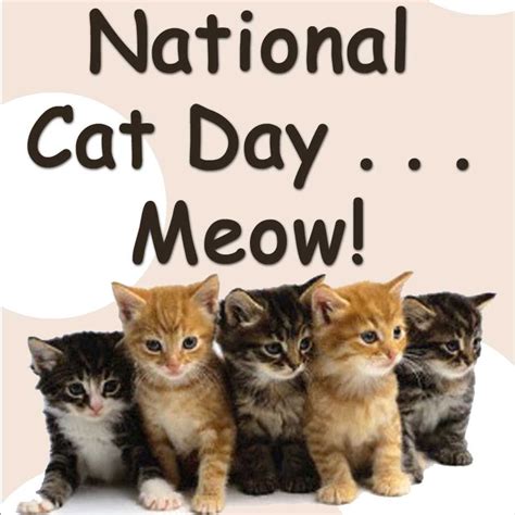 Marilyn D. | National cat day, Cat day, Cats