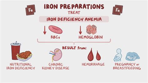 Iron preparations: Nursing Pharmacology - Osmosis Video Library