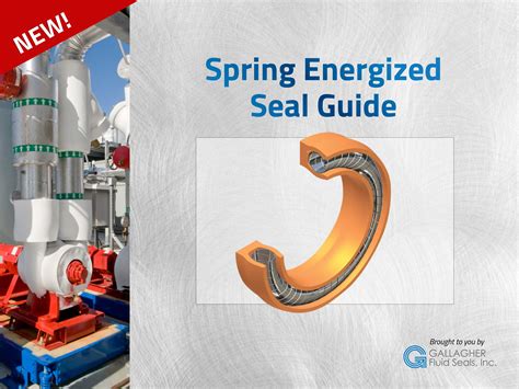 Download Your Spring Energized Seal Guide