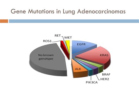 PPT - ALK in lung cancer: Past, present, and future PowerPoint ...