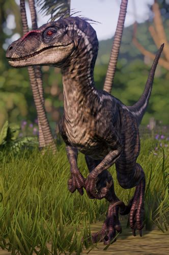 Velociraptor | Jurassic World Evolution Wiki | Fandom