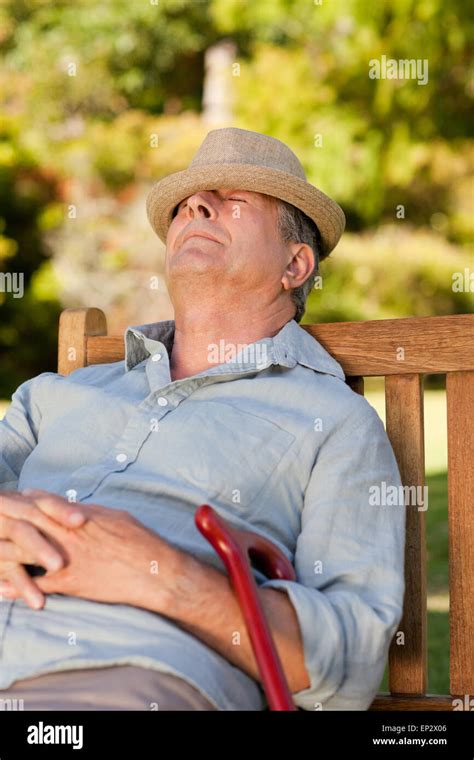 Senior man sleeping on the bench Stock Photo - Alamy