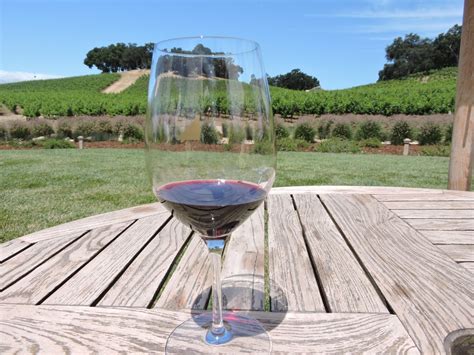 Eight Best Places to Wine Taste in the Paso Robles Wine Region