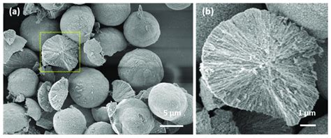 SEM images of CaCO 3 vaterite crystals (a) demonstrating internal... | Download Scientific Diagram