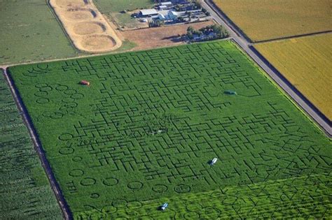 Cool Patch Pumpkins Corn Maze – Dixon, California - Atlas Obscura