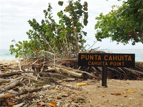 9 animals to see in Cahuita National Park - Tiny Travelogue