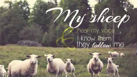 Scripture in Song: My sheep hear My voice John 10:27-28 - YouTube