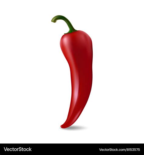 Red chilli pepper Royalty Free Vector Image - VectorStock