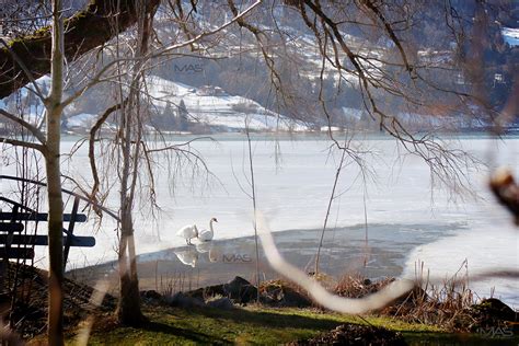 Lakes, waterfalls. Allgäu on Behance