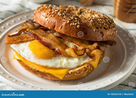 Homemade Fried Egg Bagel Sandwich Stock Photo - Image of sliced, cheese: 183323156