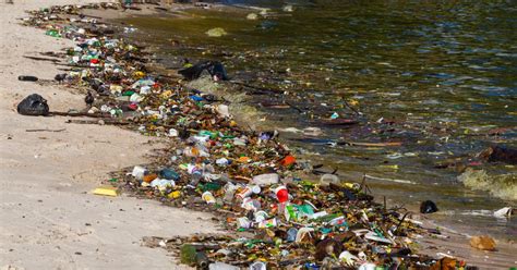 Rio Olympics 2016: Water Pollution Extends Far Offshore | TIME