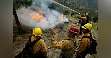 Forestry Fire Chief Calls 2023 Wildfire Season was 'Fairly Mild ...