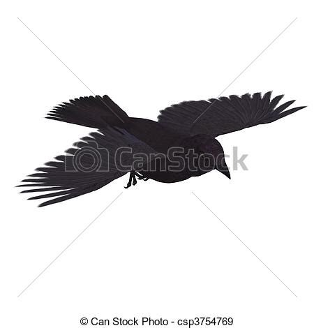 Corvidae clipart 20 free Cliparts | Download images on Clipground 2024