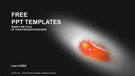 Bacteria-Medical PowerPoint Templates