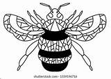 Coloring Bumblebee Young Children Stock Illustration 1559196716  sketch template