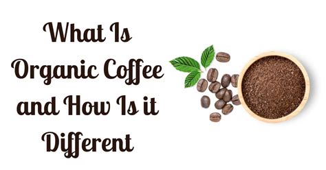 What Is Organic Coffee And How Is It Different: Best Sips