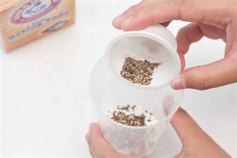 DIY Natural Ant Killer - Pet safe indoor homemade ant killer