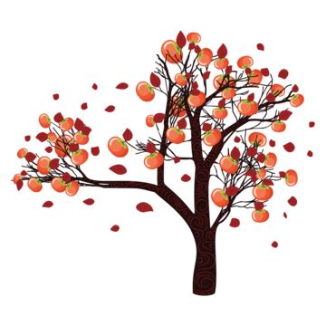 Persimmon Leaves Drawing Ripe Vector, Leaves, Drawing, Ripe PNG and ...